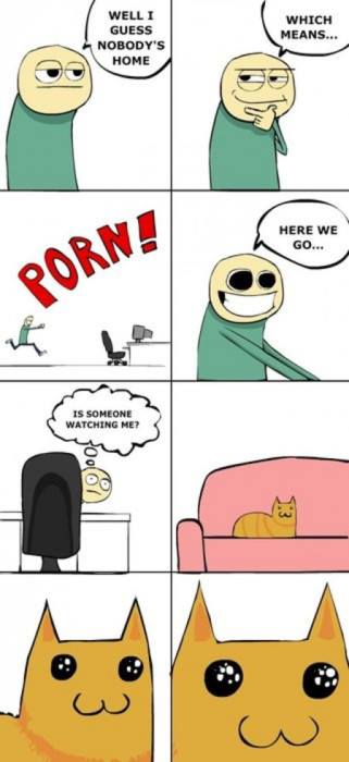 What are you doin there? :3