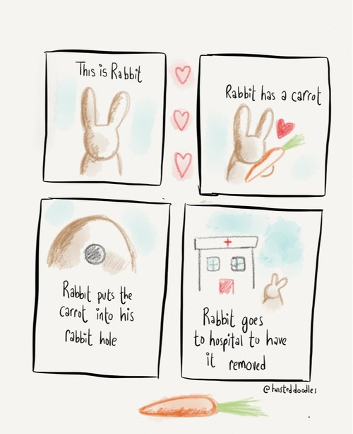 Rabbit love carrots