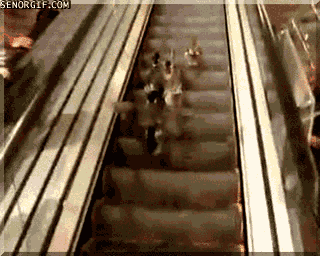 Those advice mallards need to see the mirrors before minding other's business