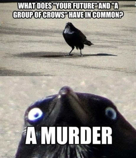 Murder she wrote!