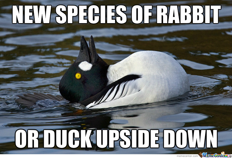 rabbit or duck?