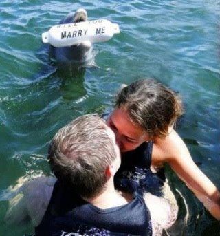 That awkward moment when the dolphin and &quot;marry me&quot; was not your plan....