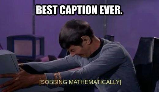 Best caption ever.