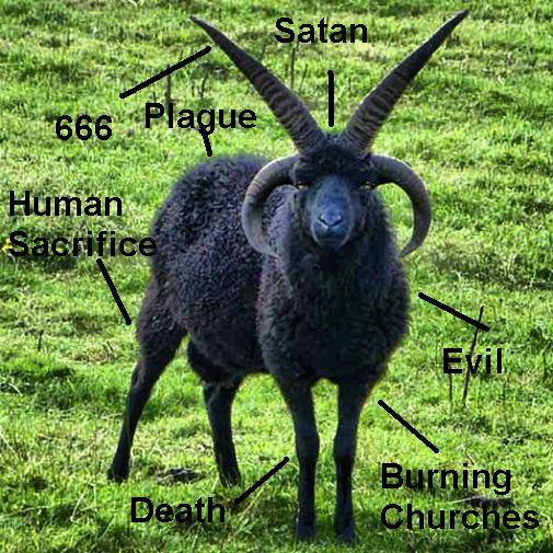 Today’s Life Science lesson