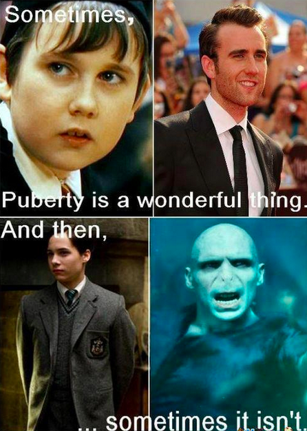 Conclusion: Voldemort killed HP's parents because puberty did it right for them