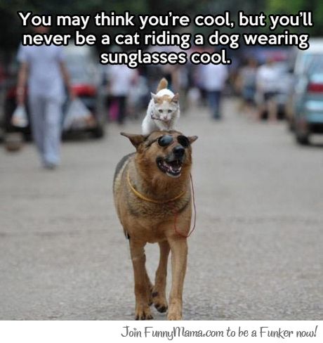 That's just way too cool