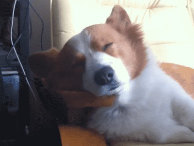 MRW i realize i forgot something