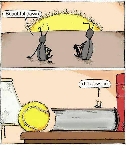Perspective