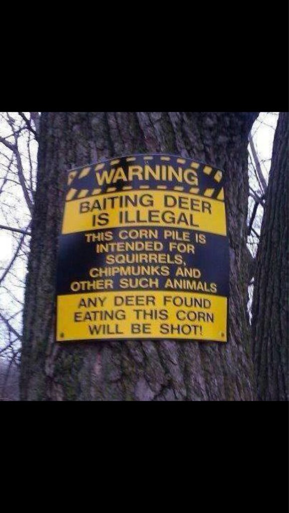 keep the deer in line
