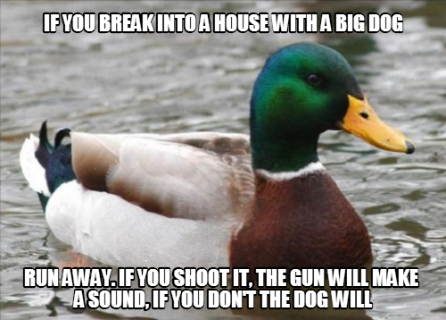 Plus breaking into houses is kind of a douche move