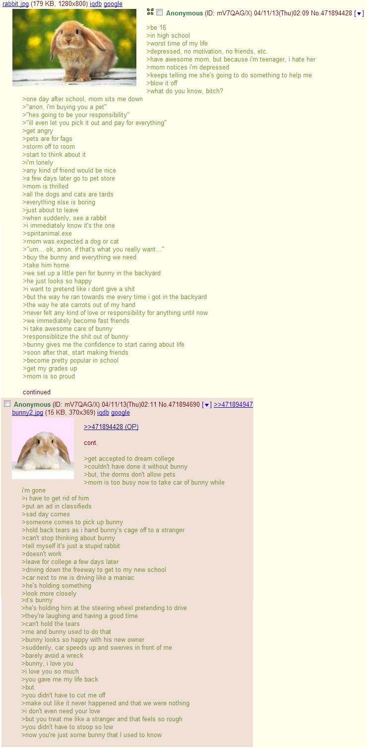 Anon gets a bunny