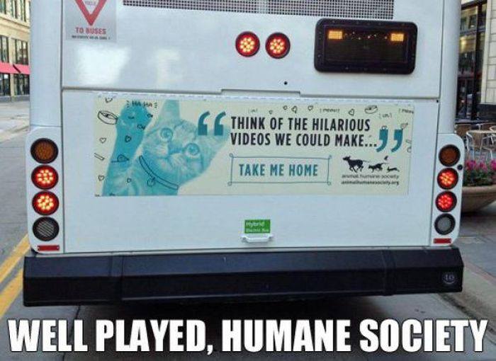Nice one Humane Society.