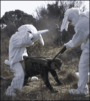 And Elmer didn't hunt Bugs anymore...