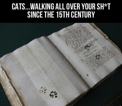 egyptians could speak about that