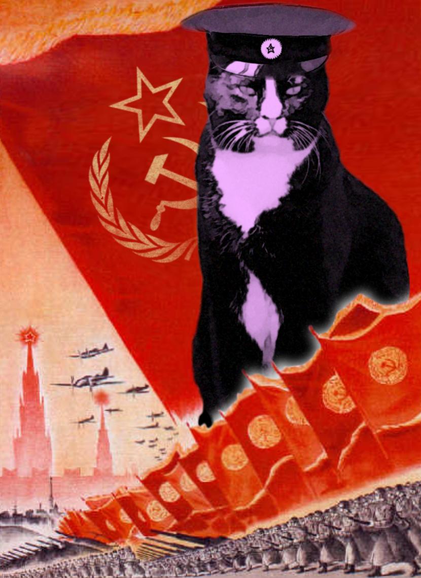 socialist cat runs this sh*t