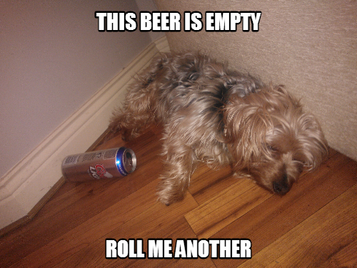 Dog Tired