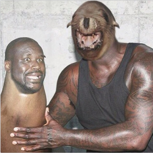 Shaquille o'seal
