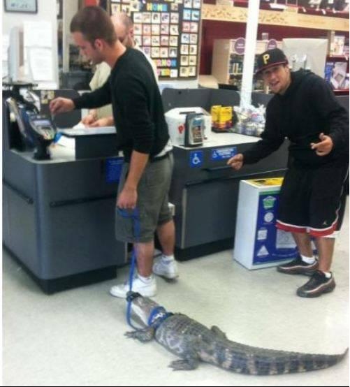 Just took my pet to the store...