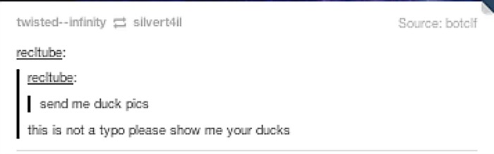And chicks pls