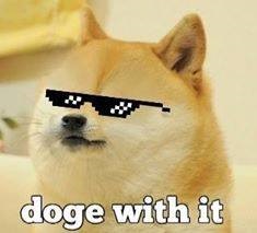 MRW my friends say doge posts are stupid.