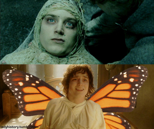 a new species