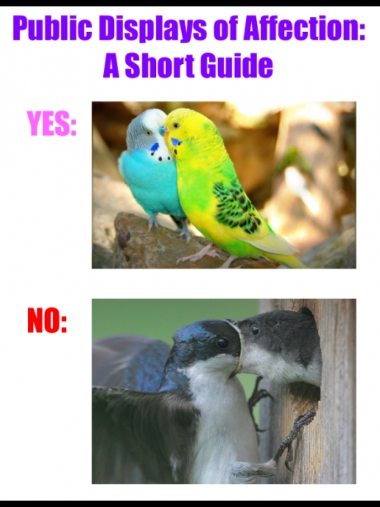A guide to PDA.