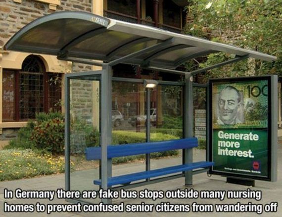 And Bus stations are the natural enemies of senior citizens