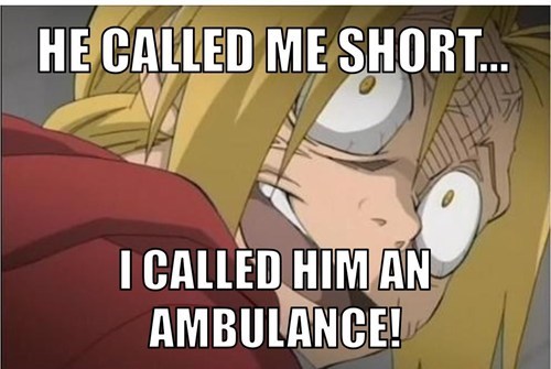 FULLMETAL MIDGET