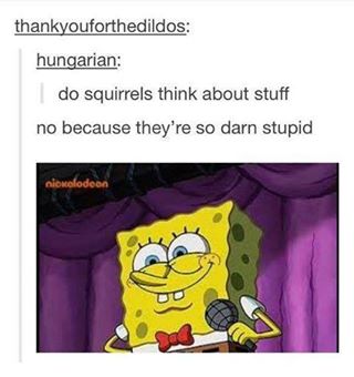 Truth about squirrels