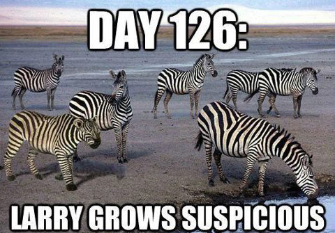 Day 127: Larry doesn't live here anymore