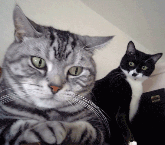 Trying to eat food in class