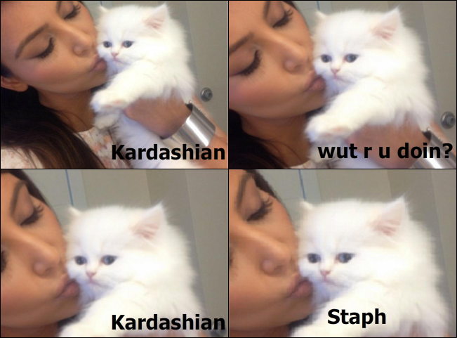 Poor kitty