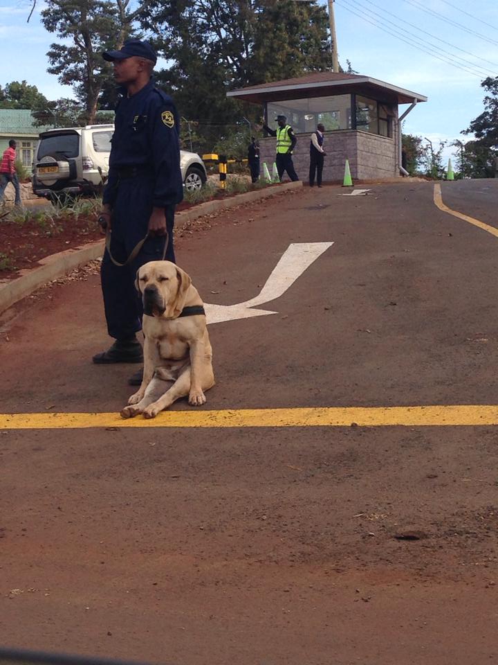I feel very safe now!