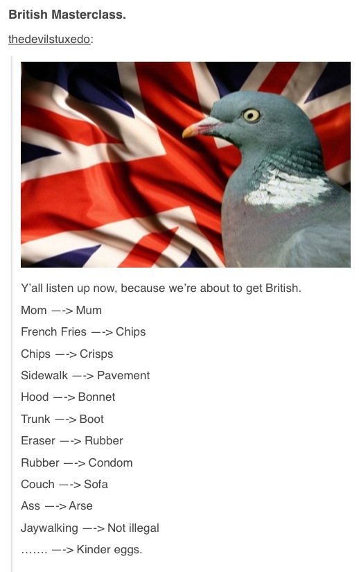 British lessons