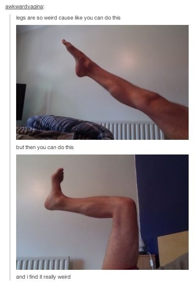 Legs are weird