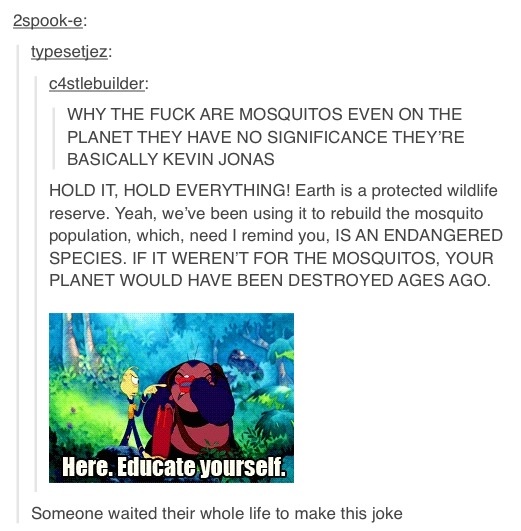 Mosquitos>kevin jonas