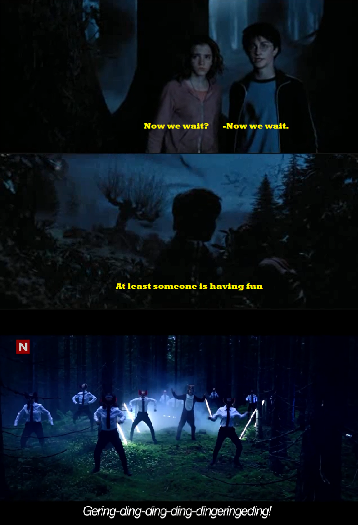 The things you see in a forbidden forest