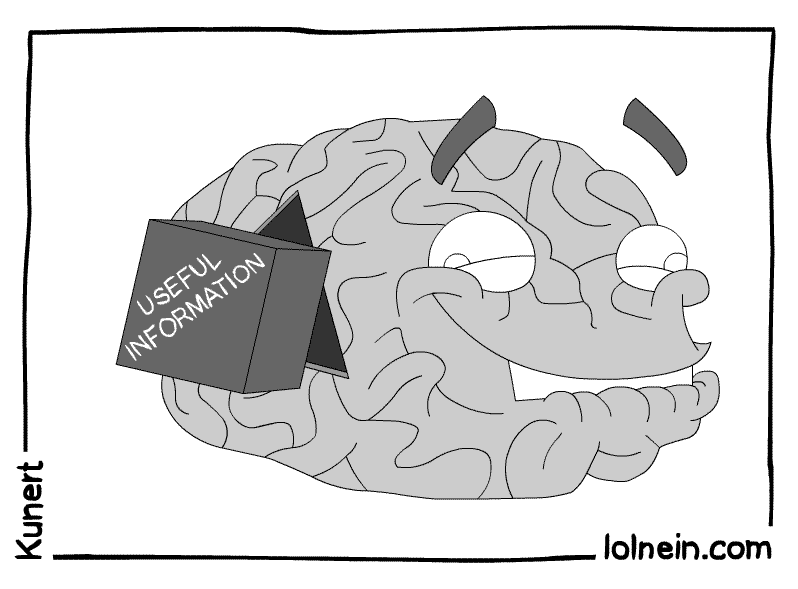 Brain vs. Useful Information
