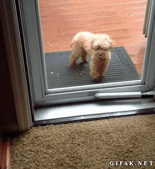 Come in, bro