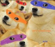 Teenage Mutant Ninja Doges