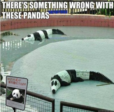 Now I want a panda ..