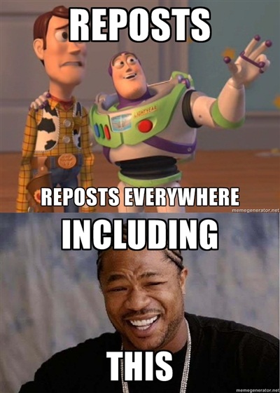 Yo dawg i heard you like reposts