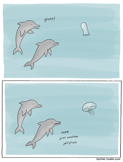 Dolphin Gosthbusters