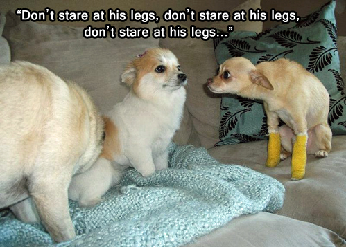 How i behave around people with no Legs