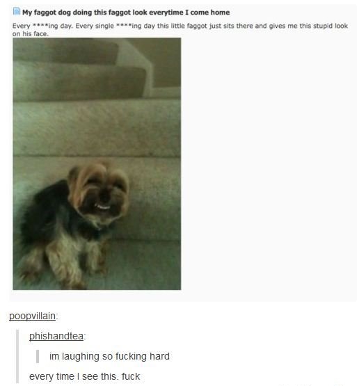 I laugh like a hysterical person seeing this.