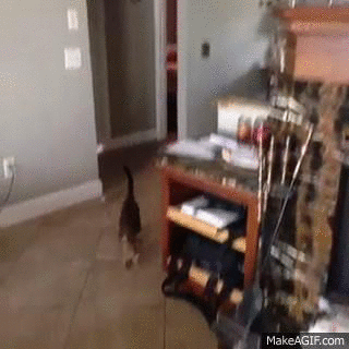 They don't suspect a thing