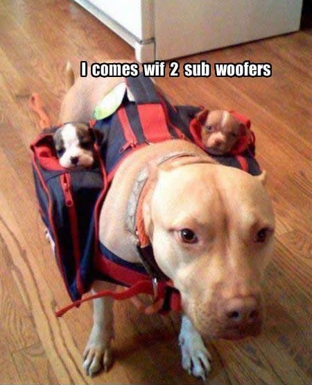 wif 2 subwoofers!
