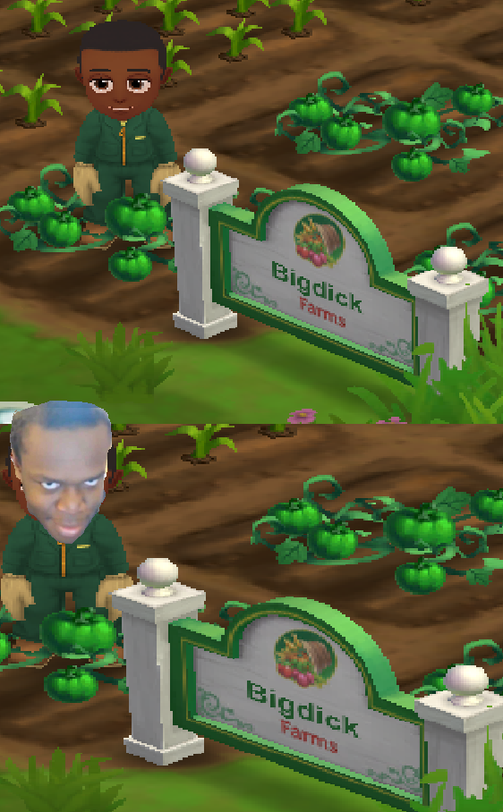 started playing farmville