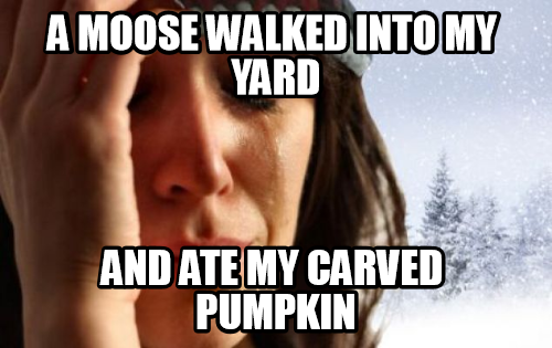 canadian first world problems