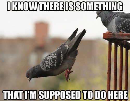 If only I could remember